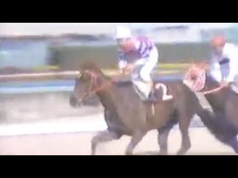 『天才　福永洋一！初めて桜花賞を制する！』第３７回　桜花賞　インターグロリア　牝３　55　福永洋一　1977.4.10　　出走馬：ファインニッセイ、リニアクイン、ケイツナミ、アイノクレスピン他