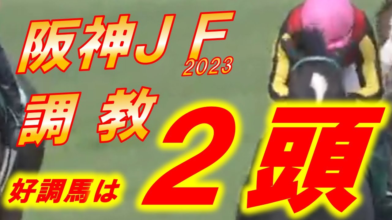 阪神ジュベナイルフィリーズ　追い切り診断　良く見えたのは人気馬1頭、穴馬1頭‼元馬術選手のコラム
