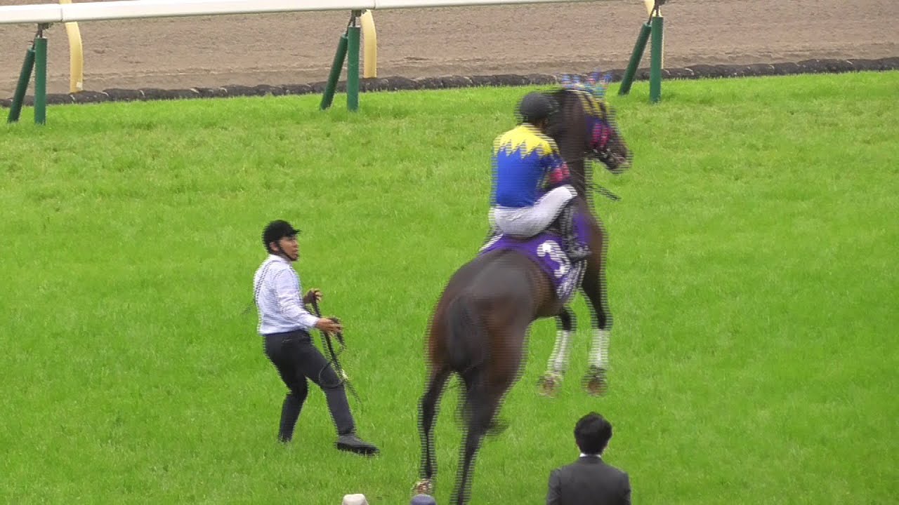 【放馬寸前！】サウンドビバーチェのヴィクトリアマイル本馬場入場