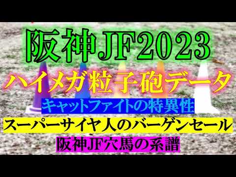 阪神ジュベナイルフィリーズ2023　追加データ
