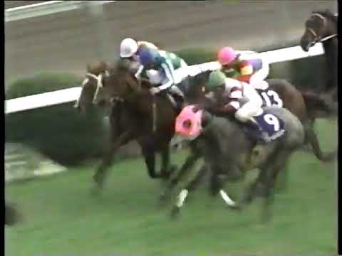 1993 朝日杯3歳S ナリタブライアン