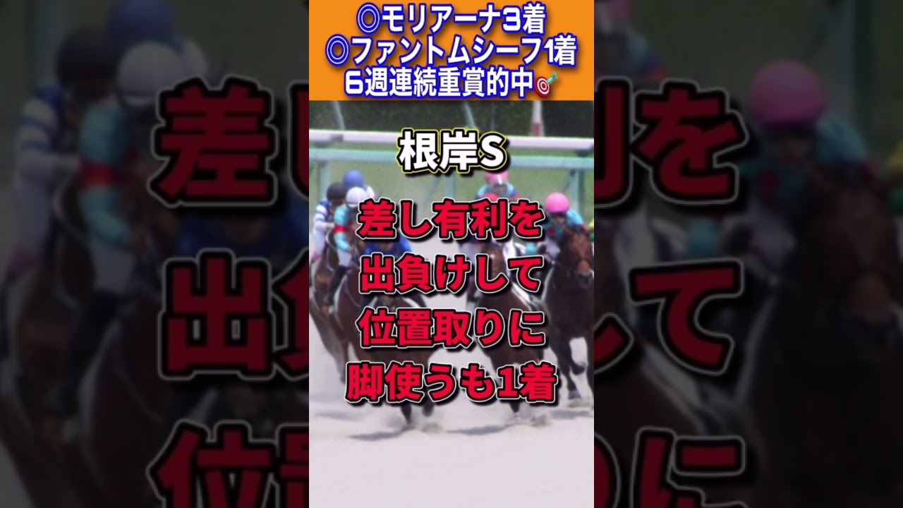 【フェブラリーステークス2023】30秒でわかるレモンポップ