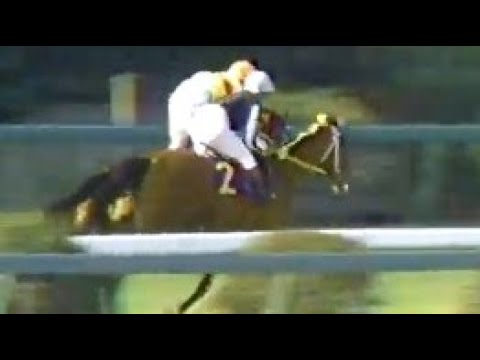 第４２回　皐月賞　アズマハンター　牡３　57　中島啓之　1982.4.18　　出走馬：ワカテンザン、アサカシルバー、タケデンフドー、エリモローラ、イーストボーイ、ロングヒエン、アスワン、ディスクール他