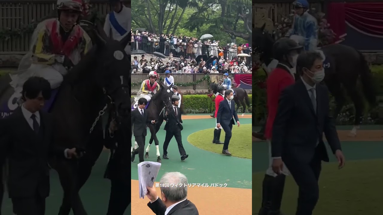 【ヴィクトリアマイル】パドック 東京競馬場 #shorts #競馬 #ヴィクトリアマイル