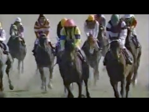 第４６回　皐月賞 （ＧⅠ）　ダイナコスモス　牡３　57　岡部幸雄　1986.4.13　　出走馬：フレッシュボイス、アサヒエンペラー、ダイシンフブキ、ニッポーテイオー、レイクブラック、ダイナガリバー他