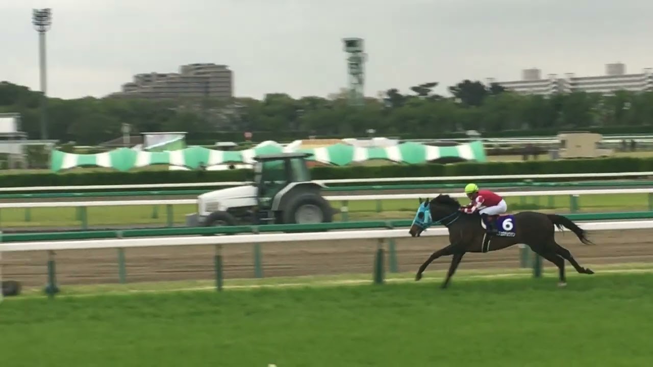 2018年中山グランドジャンプ　オジュウチョウサンの障害飛越