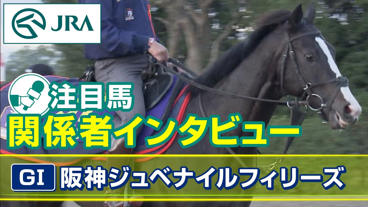 【注目馬 関係者インタビュー】2023年 阪神ジュベナイルフィリーズ｜JRA公式