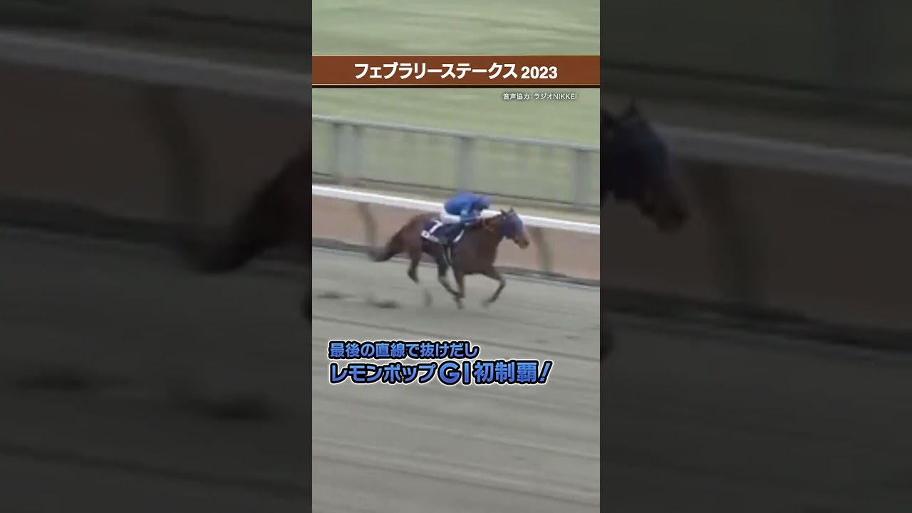 レモンポップが危なげない走りでGⅠ初挑戦初制覇！#jra #フェブラリーステークス2023 ＃レモンポップ