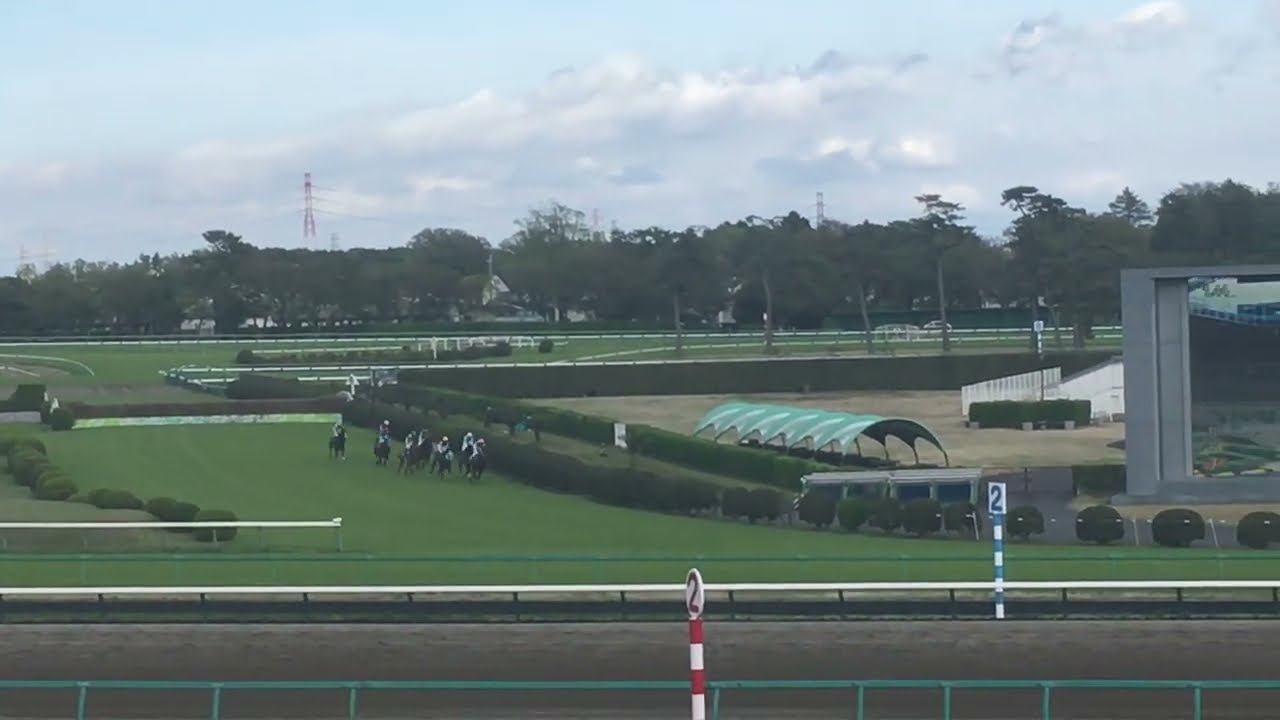 20220416中山グランドジャンプ　大竹柵の飛越