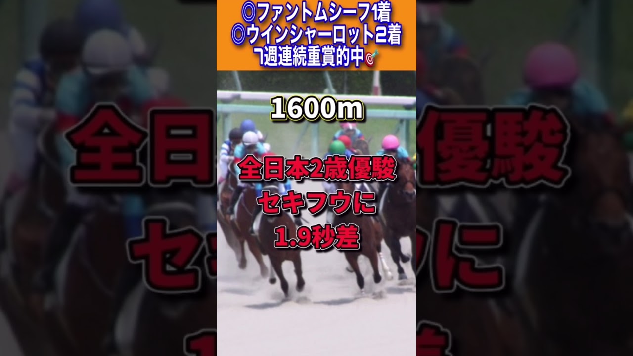 【フェブラリーステークス2023本命公開】7週連続重賞的中🔥