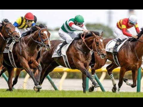 第９０回　東京優駿（日本ダービー）　タスティエーラ　牡3　57.0　Ｄ.レーン　2023.5.28　　出走馬：ソールオリエンス、ハーツコンチェルト、ベラジオオペラ、ホウオウビスケッツ他