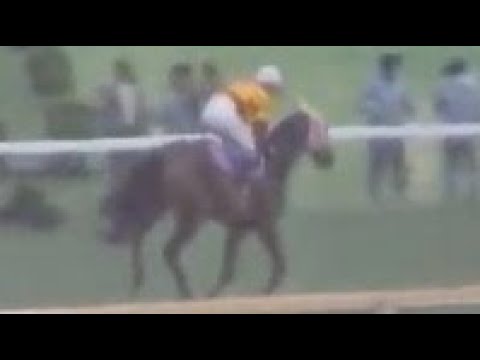 『ハイセイコーは直線で沈みました。』第６９回　天皇賞（春）　タケホープ　牡４　58　嶋田功　稲葉幸夫　1974.5.5　出走馬：ストロングエイト、クリオンワード、メジロスイセイ他　実況：杉本清