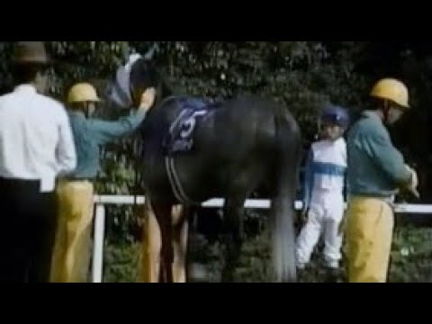 第１０５回　天皇賞（春） （ＧⅠ）　メジロマックイーン落鉄　蹄鉄打ち直し　1992.4.26