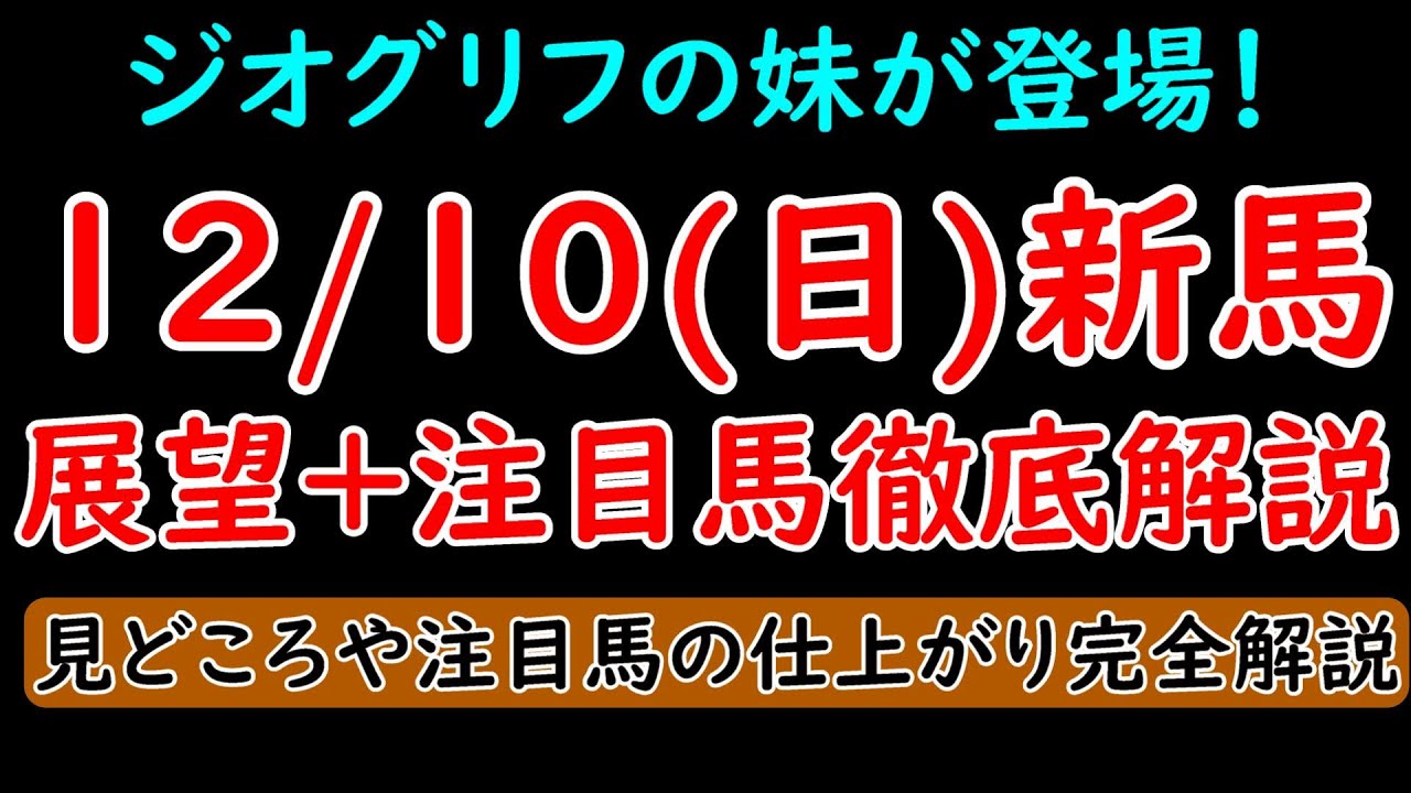 12/10(日)新馬戦展望+注目馬解説 ジオグリフの妹や米G1馬の仔など注目馬多数！【POG23-24】