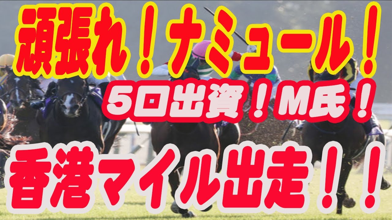 【 頑張れナミュール！】香港マイル出走ナミュール！出資者（5口）M氏の応援動画！