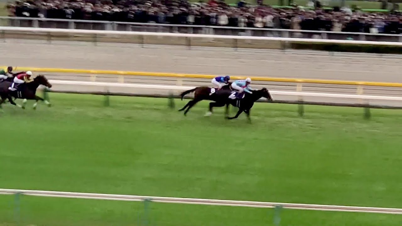 ジャパンカップ イクイノックス圧勝 東京競馬場風景-パドック-本馬場入場-ファンファーレ-レースのTwitter向け究極のダイジェスト映像 2023.11.26