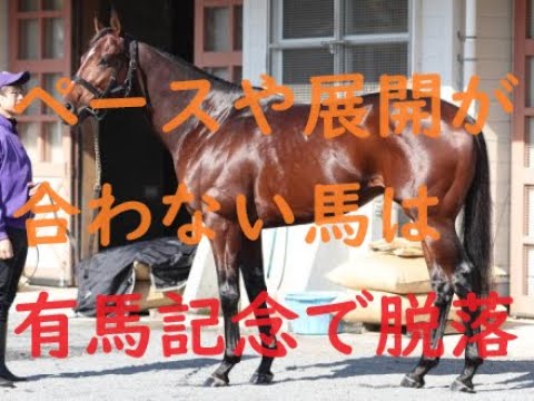 有馬記念 2023 その馬のベストパフォーマンスレースで好走パターンや得意条件が分かる