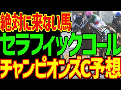 【チャンピオンズC予想】セラフィックコール、レモンポップは馬券に来ない！？中京ダート1800メートルが魔境！？だからメイショウハリオと浜中俊だ！2023年チャンピオンズカップ予想動画【私の競馬論】