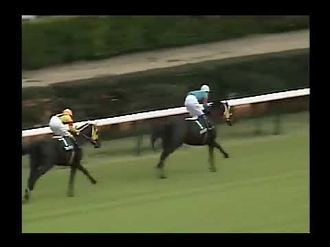 1993 中山大障害春 メジログッテン