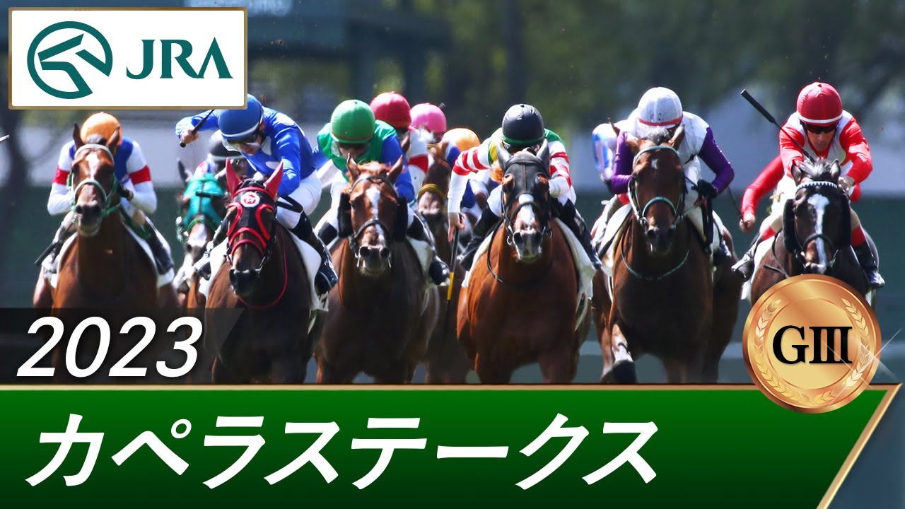 2023年 カペラステークス（GⅢ） | 第16回 | JRA公式