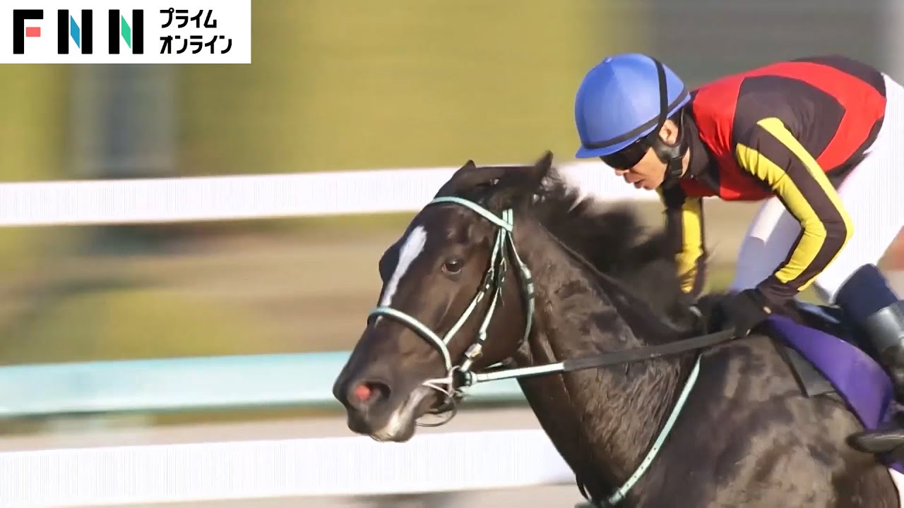 【阪神ジュベナイルフィリーズ】無傷の3連勝でアスコリピチェーノが世代初の女王に　北村宏司騎手はキタサンブラック以来8年ぶりのGI勝利