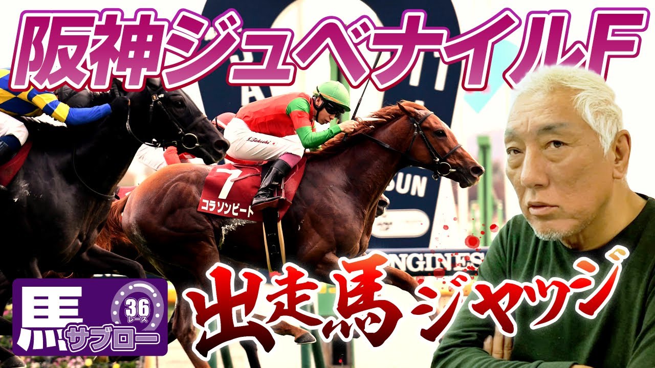 【阪神ジュベナイルF】出走馬ジャッジ