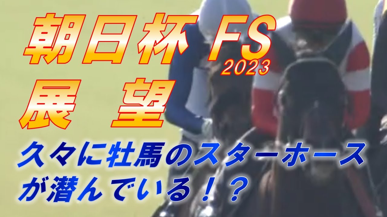 朝日杯フューチュリティステークス2023　展望　ダノンマッキンリー・セットアップ・シュトラウス　等