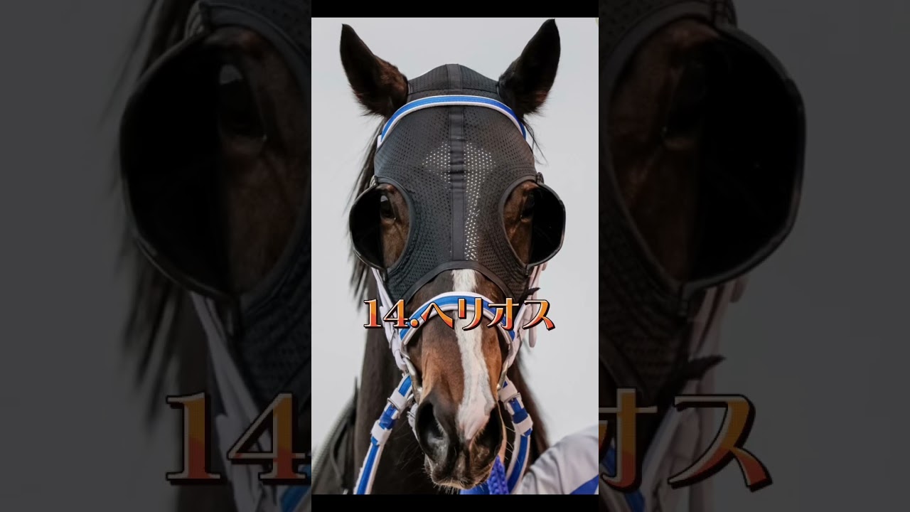#競馬 #競馬予想 #g1 #フェブラリーステークス#今回はガチの巻き返しある！