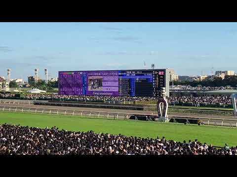 第168回天皇賞（秋）　現地にて