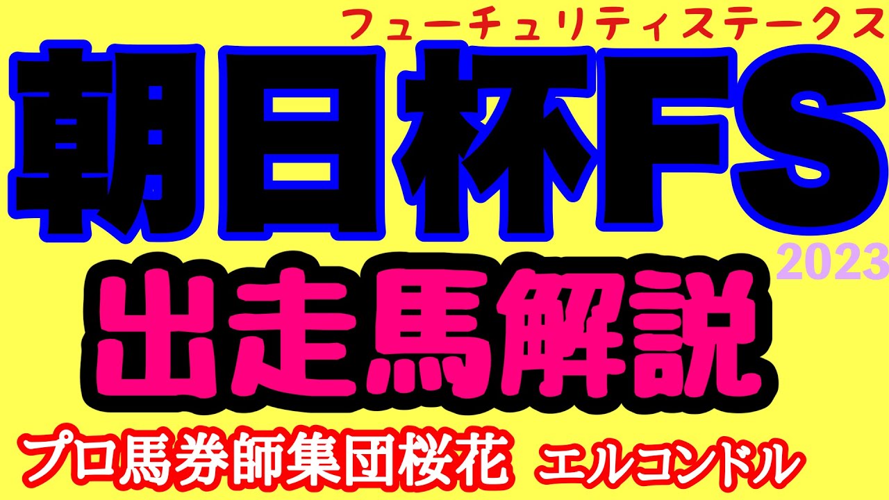 プロ馬券師集団桜花エルコンドル氏の朝日杯フューチュリティステークス2023出走馬解説！！人気集めるシュトラウスにも不安材料ある！今年は牝馬以上に牡馬は混戦模様！
