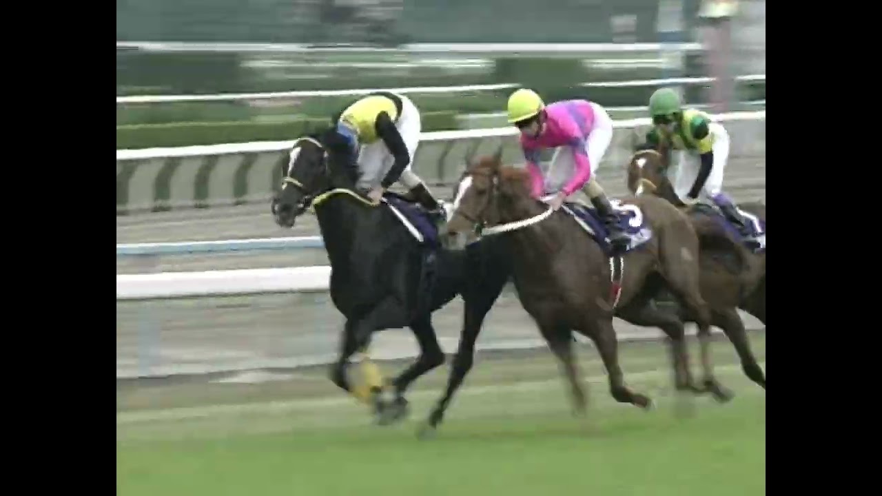 ナリタトップロード 2002年 第125回天皇賞(春)(GI) (優勝馬：マンハッタンカフェ)