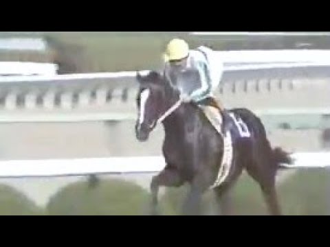 『完全にメジロ先頭だ！…堂々たる勝利！』第４６回　桜花賞 （ＧⅠ）　メジロラモーヌ　牝３　55　河内洋　1986.4.6　　出走馬：マヤノジョウオ、マチカネエルベ 、ポットテスコレディ  他