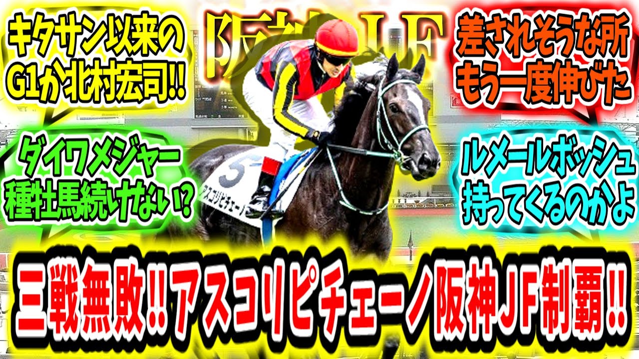 『3戦無敗で桜の舞台へ‼アスコリピチェーノ阪神JF制覇‼』に対するみんなの反応【競馬の反応集】