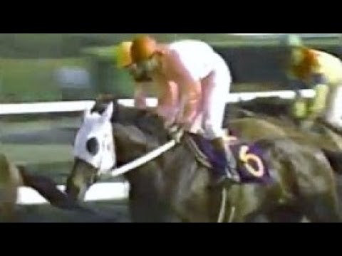 第４７回　皐月賞 （ＧⅠ） サクラスターオー　牡３　57　東信二　1987.4.19　　出走馬：ゴールドシチー 、マティリアル、モガミヤシマ、スーパーファントム、、メリーナイス、ホクトヘリオス他