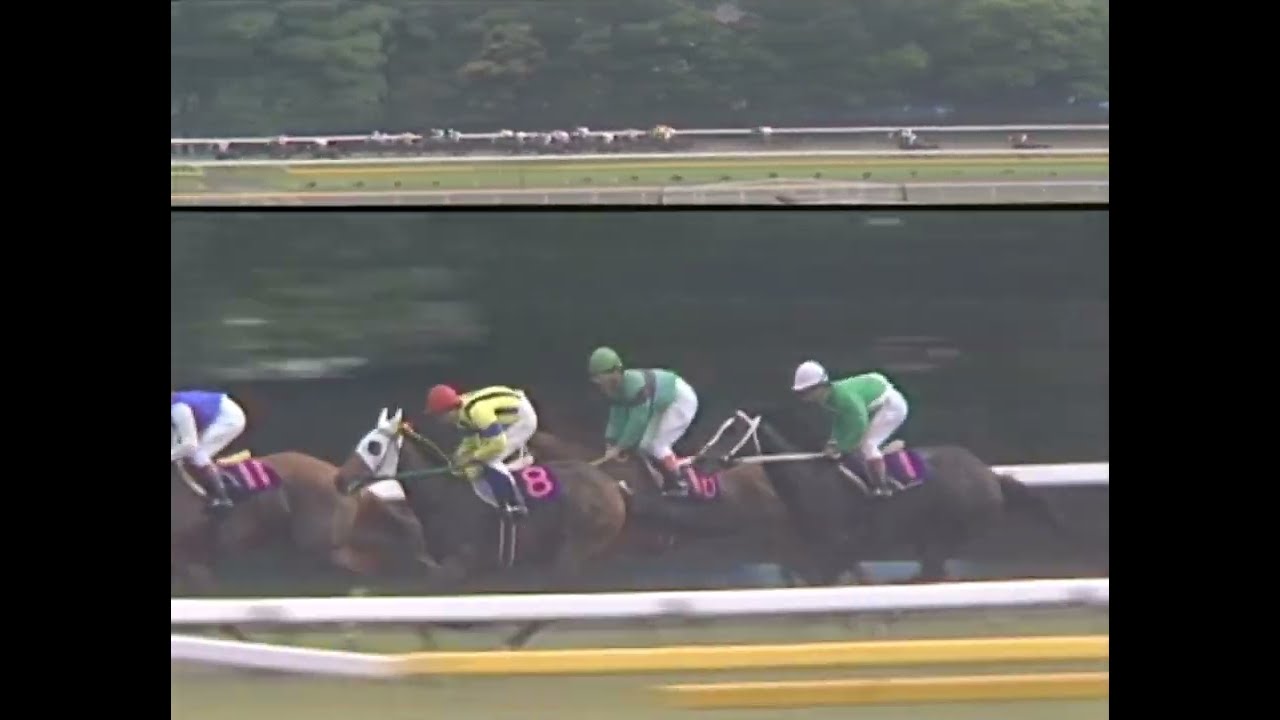 メジロラモーヌ 1986年 第47回優駿牝馬(オークス)(GI) (優勝馬：メジロラモーヌ)