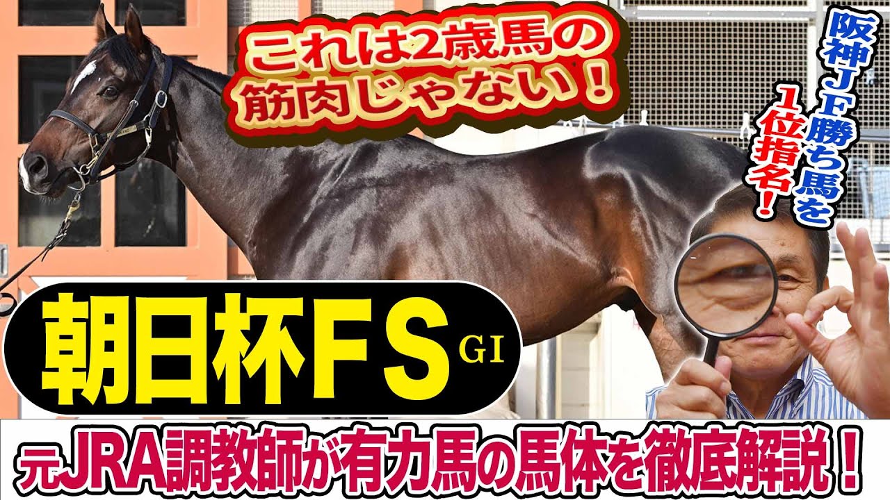 【朝日杯FS2023】中村均元調教師が馬体診断　有力馬５頭を徹底解説　穴狙いはあの馬！《東スポ競馬ニュース》