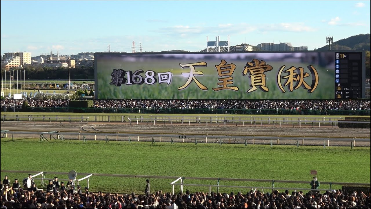 【天皇賞秋2023】レース前のカッコいい煽りV〜ファンファーレ生演奏【現地映像】