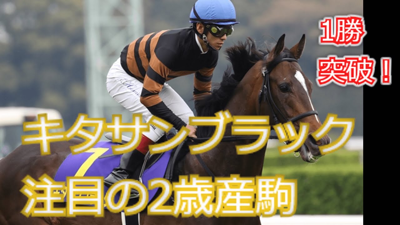 来年のクラシックの主役は誰だ！？注目のキタサンブラック2歳産駒【ゆっくり競馬解説】