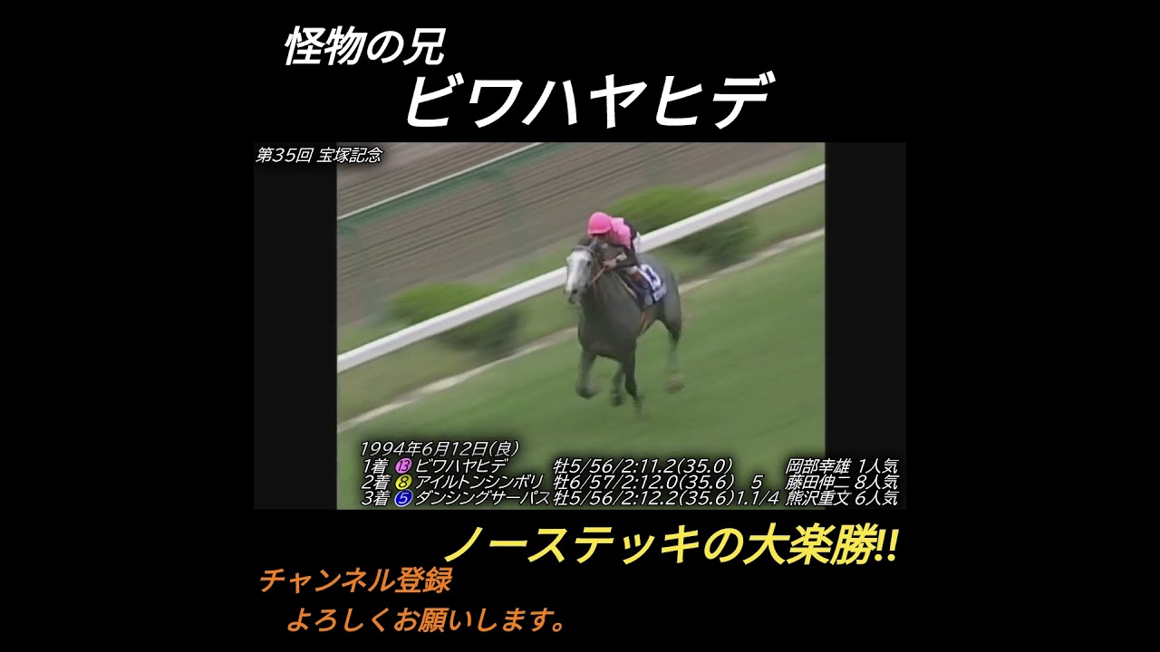 ビワハヤヒデ ノーステッキの大楽勝 第35回 宝塚記念