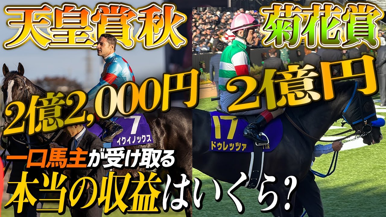 【一口馬主の真実】天皇賞秋イクイノックス＆菊花賞ドゥレッツァの手取り収益は合わせていくらだったでしょうか！？【節約大全】vol.1187