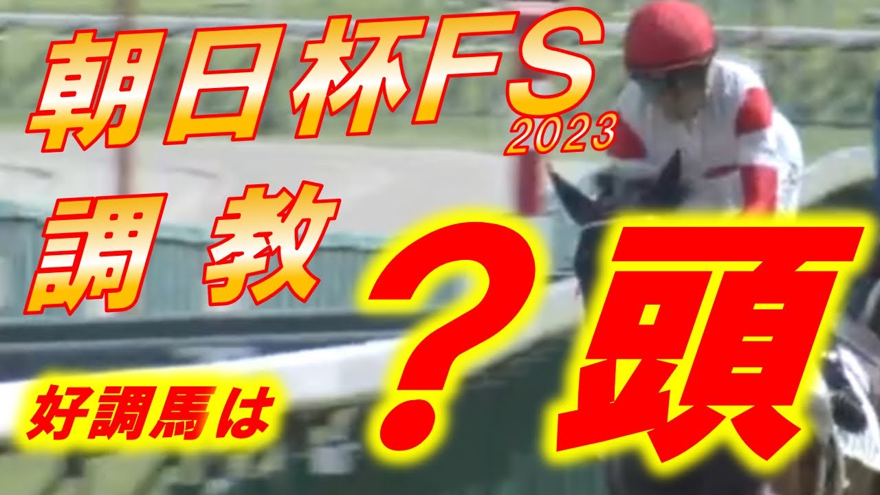 朝日杯FS　ダノンマッキンリーの追い切り診断！！　怪物か？危険な人気馬か！？　徹底解説！！　元馬術選手のコラム