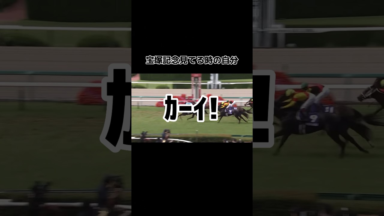 宝塚記念を見てる時の投稿者の肉声