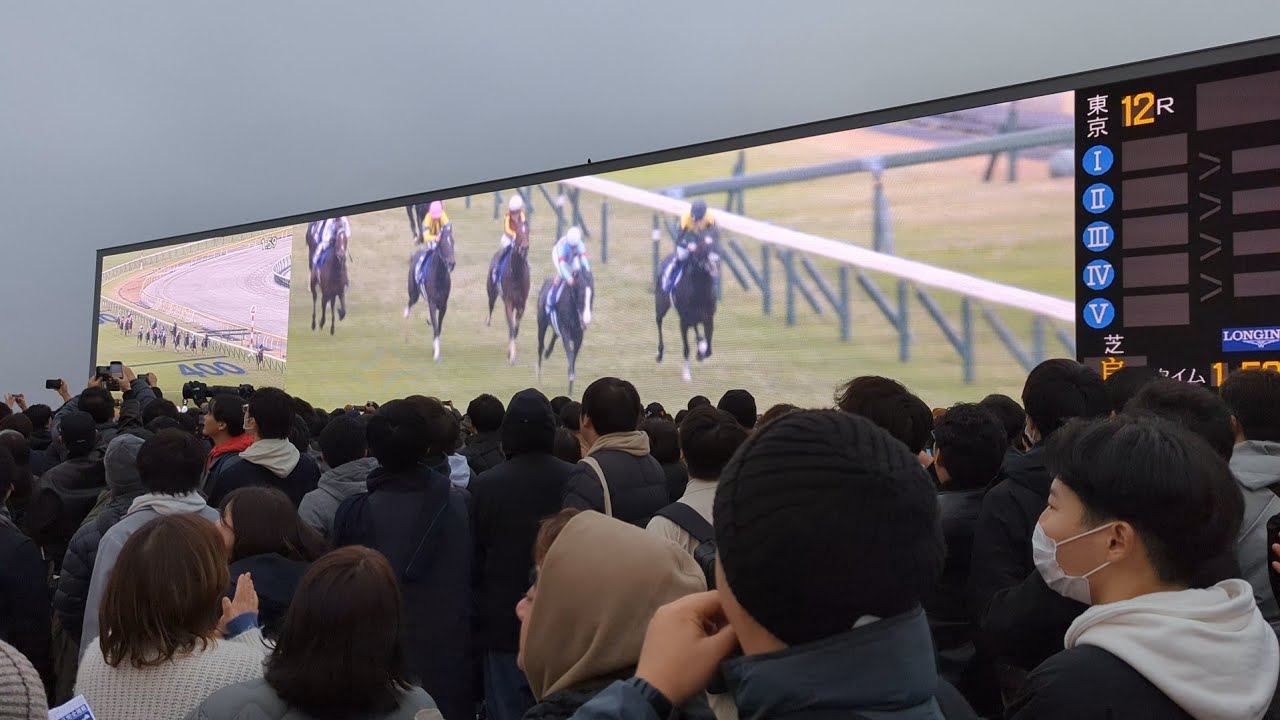 20231126_ジャパンカップ2023_現地レース映像