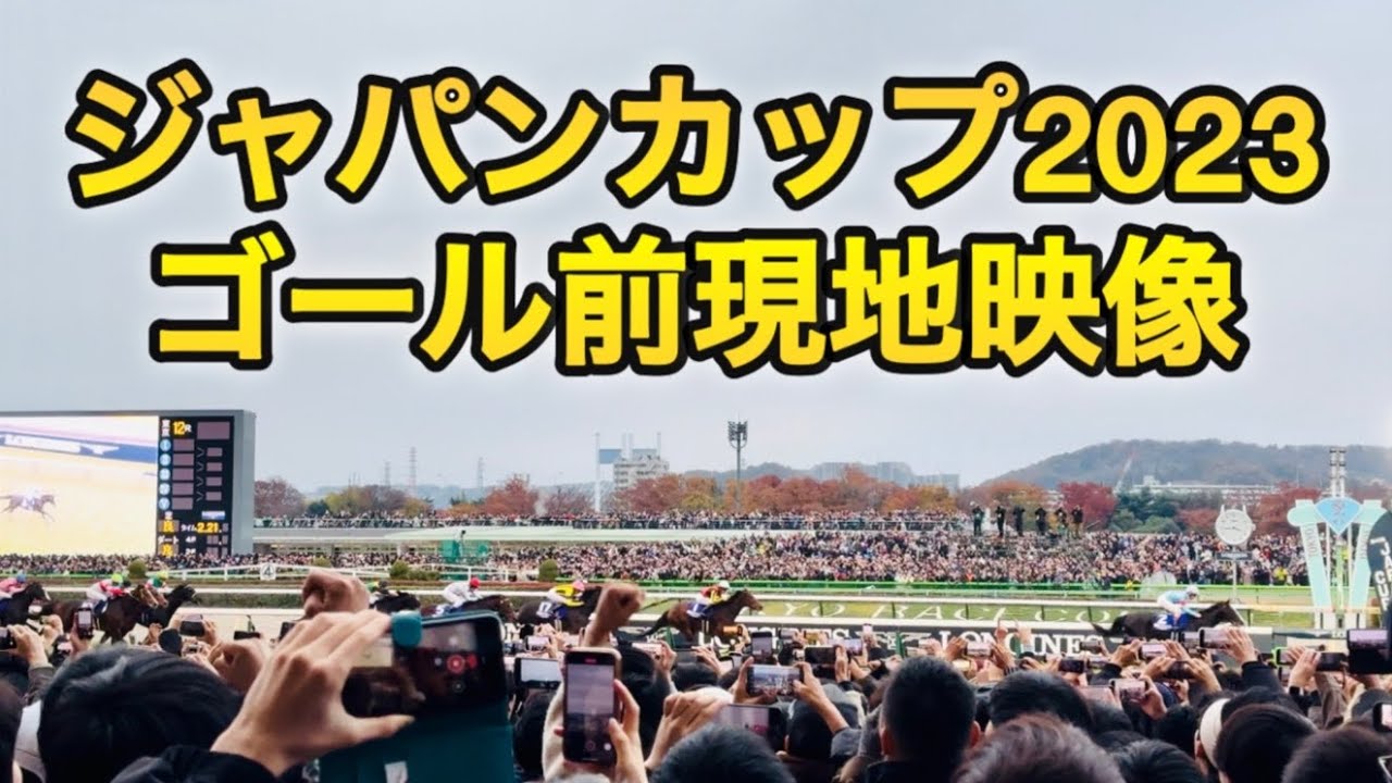 【ジャパンカップ2023】ゴール前現地映像 4K