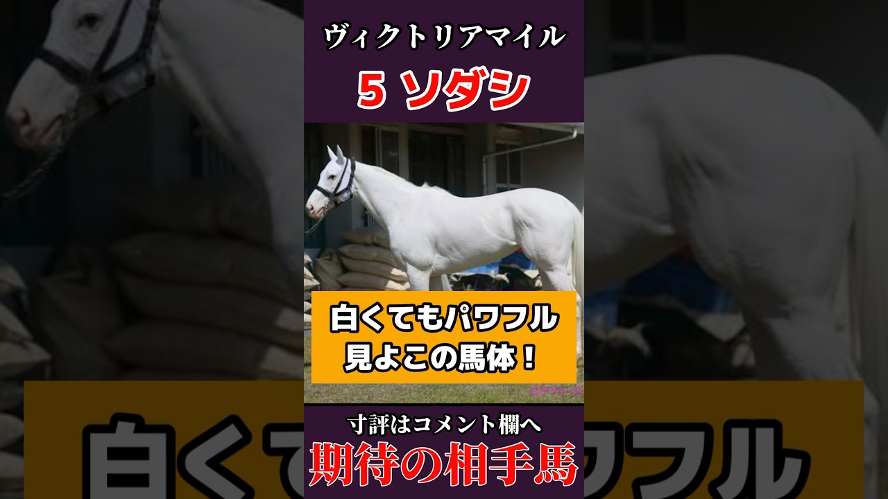 【期待の相手馬】ソダシ #競馬予想 #g1 #ヴィクトリアマイル