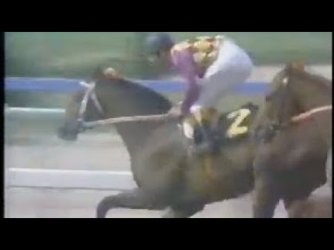 『テンポイント敗れました！』第１８回　宝塚記念　トウショウボーイ　牡４　55　武邦彦　1977.6.5　　出走馬：テンポイント、グリーングラス、アイフル、ホクトボーイ、クライムカイザー　実況:鈴木敏郎