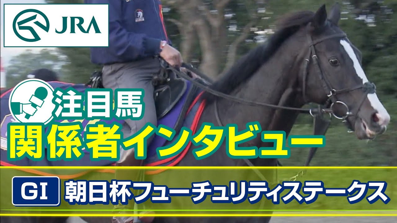 【注目馬 関係者インタビュー】2023年 朝日杯フューチュリティステークス｜JRA公式