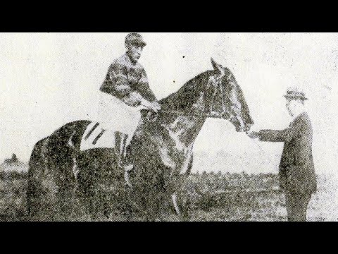第３回　東京優駿大競走（日本ダービー）　フレーモア　牡３　55　大久保亀治　1934.4.22　　出走馬：テーモア、デンコウ、アンヨウ、ユキイエ、ヤングパレード、ヤヘヒカリ、アキユーメン、アトランタ他