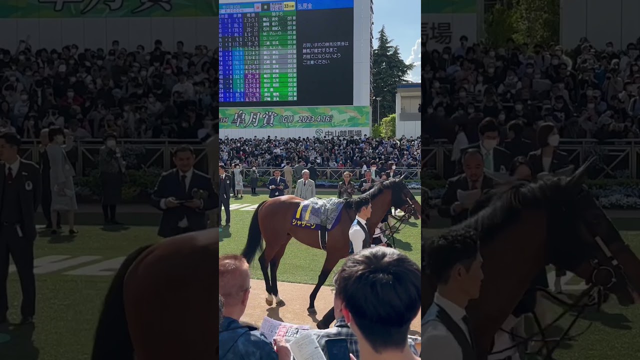 皐月賞 パドック 金子真人さんもいます