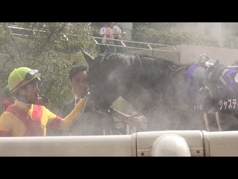 【宝塚記念2023】鮫島騎手のナデナデに頭をブンブンして応えるジャスティンパレス